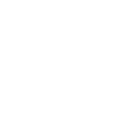 obtis